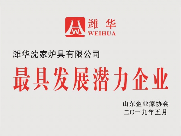 最具發(fā)展?jié)摿ζ髽I(yè)